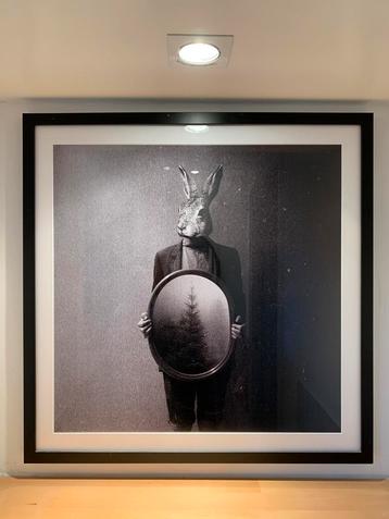 Ingelijste poster 60x60 beschikbaar voor biedingen