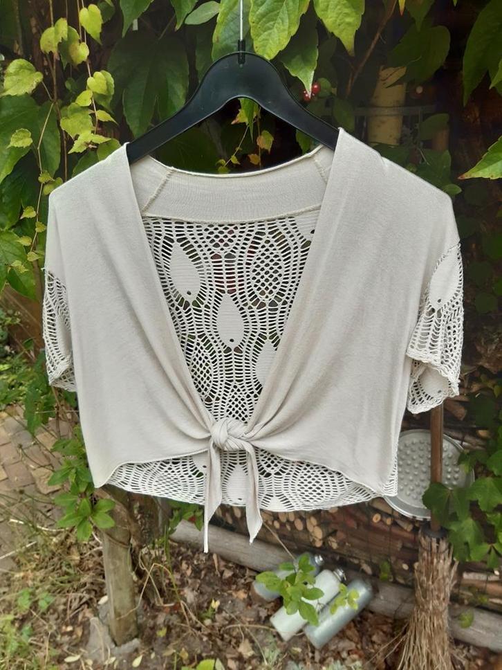 Vestje  bolero topje, Kleding | Dames, Truien en Vesten, Zo goed als nieuw, Beige, Ophalen of Verzenden