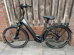 Pegasus Evo 10 Elektrische fiets Accu 625Wh Bosch CX 85Nm!, Fietsen en Brommers, Elektrische fietsen, 55 tot 59 cm, Ophalen, Zo goed als nieuw