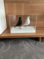 Vitrine voor kunst modelbouw of lego nieuwprijs 450 euro, Ophalen, 50 tot 100 cm, Zo goed als nieuw, Minder dan 100 cm