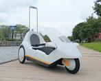 Vintage Sinclair C5 electrische ligfiets, Fietsen en Brommers, Ophalen, Gebruikt, Overige merken