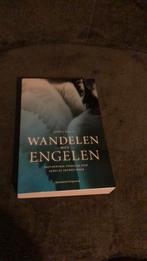 Carmel Reilly - Wandelen met engelen, Spiritualiteit algemeen, Carmel Reilly, Overige typen, Ophalen of Verzenden