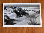 Duinen. Zandvoort aan Zee., Ophalen of Verzenden, 1940 tot 1960, Gelopen, Noord-Holland