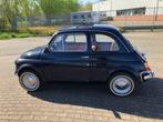 Fiat 500L, Achterwielaandrijving, Blauw, Bruin, Handgeschakeld