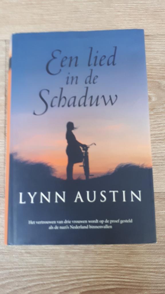Lynn Austin - Een lied in de schaduw, Boeken, Historische romans, Zo goed als nieuw, Ophalen of Verzenden