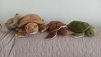 Schildpadden, Ophalen of Verzenden, Nieuw, Overige typen