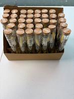 Partij Decoratieve gedroogde bloemen in glazen buisjes, Ophalen of Verzenden, Nieuw