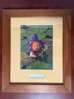 Anne Geddes Ingelijste Foto, Ophalen of Verzenden