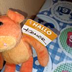 Hema Kenor oranje varken knuffel met magneten 22 cm, Ophalen of Verzenden, Zo goed als nieuw