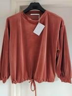 NIEUW!! XANDRES schitterend truitje VAN 159 VOOR 35 EURO!, Xandres, Verzenden, Nieuw, Maat 38/40 (M)