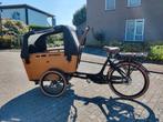 Bakfiets Vogue Carry 3 met nette groene bankbekleding, Fietsen en Brommers, Fietsen | Bakfietsen, Ophalen, Zo goed als nieuw, 4 kinderen of meer
