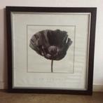 LIJSTEN, Antiek en Kunst, Kunst | Schilderijen | Klassiek, Ophalen