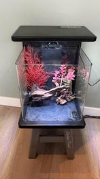 Klein aquarium inclusief spullen, Dieren en Toebehoren, Ophalen, Gebruikt, Leeg aquarium