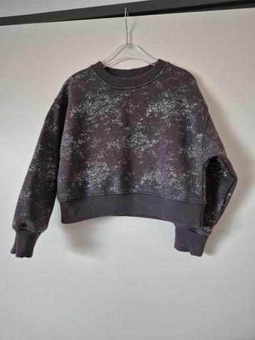 Toffe sweater Zara, maat 116  beschikbaar voor biedingen