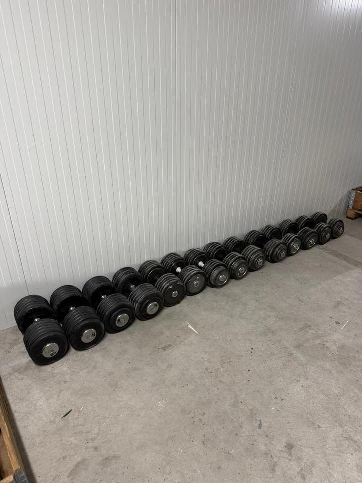 Dumbells 42 t/m 60 kg / halters/ halterset/ dumbellrek/, Sport en Fitness, Fitnessmaterialen, Gebruikt, Halterset, Ophalen