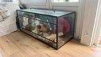Te koop terrarium/ hamsterkooi, Dieren en Toebehoren, Reptielen en Amfibieën | Toebehoren, Ophalen, Gebruikt, Terrarium of Paludarium