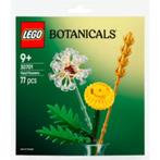 Nieuw: Lego Botanicals 30701 field flowers (veldbloemen)., Ophalen of Verzenden, Nieuw, Complete set, Lego