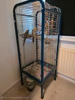 Voliere met vogels, Ophalen of Verzenden, Zo goed als nieuw, Metaal, Volière