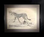 Gesigneerde Litho William Baker rennende jachtluipaard, Antiek en Kunst, Ophalen of Verzenden