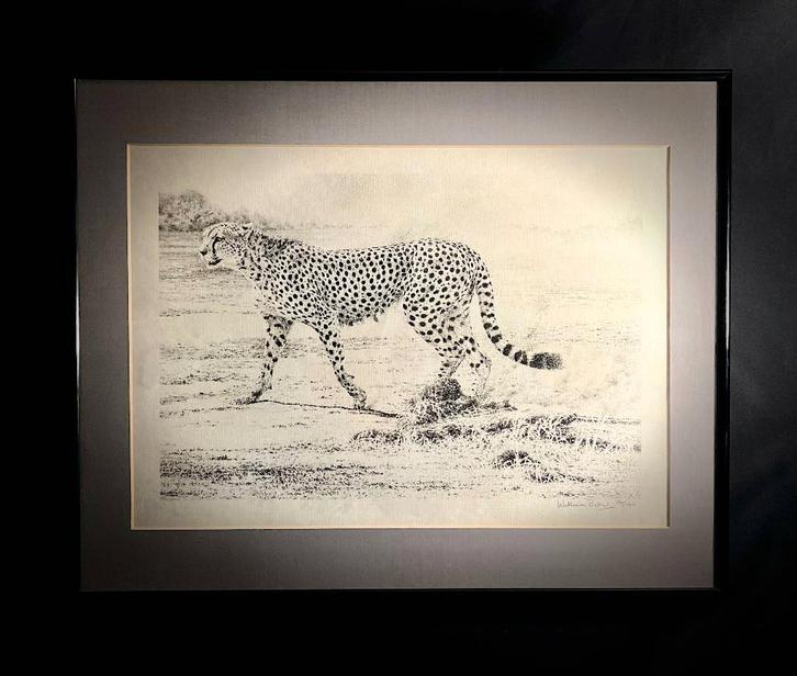 Gesigneerde Litho William Baker rennende jachtluipaard, Antiek en Kunst, Kunst | Litho's en Zeefdrukken, Ophalen of Verzenden