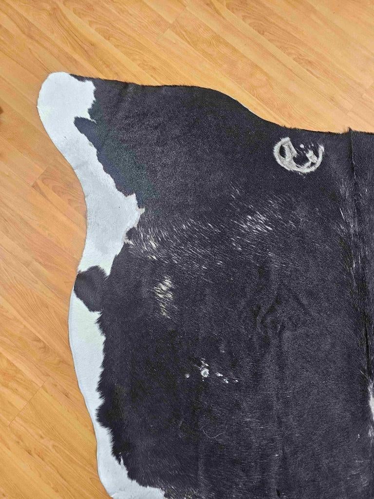 Koeienhuid zwart 190/177 cm, Gebruikt, Etten-Leur, 150 tot 200 cm, DJT@dejuistetoon.eu