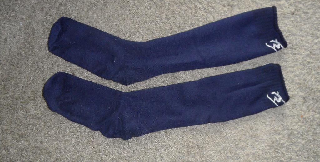 In goede staat: paar donkerblauwe wintersportsokken, 43-46, Kleding | Heren, Wintersportkleding, Ophalen of Verzenden, Gedragen