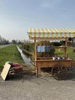 Blauwe bessen struik: 2 jarig!, Ophalen of Verzenden, Overige soorten, Struik, Minder dan 100 cm