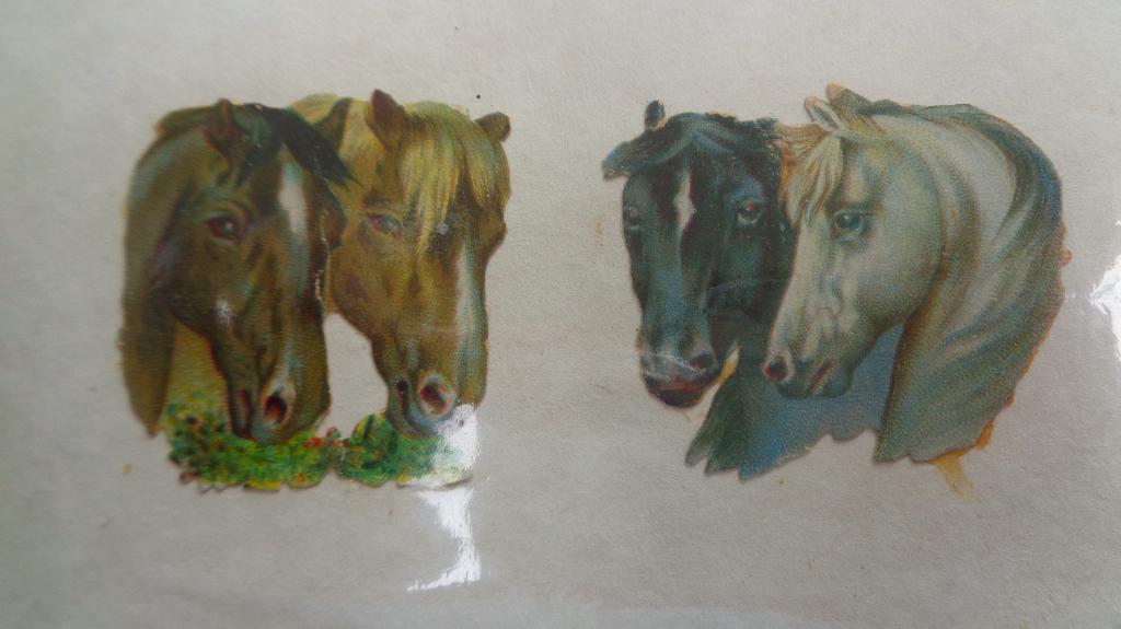 Victoriaanse poesieplaatjes paardenhoofdjes, Ophalen of Verzenden