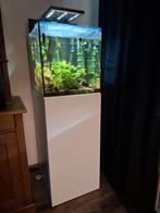 Aqua Medic Cubicus met Aquareef 18 LEDs + Meubel (Kast), Ophalen, Gebruikt, Inclusief deksel, Gevuld zoetwateraquarium