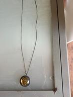 Panter medaillon met glas, Ophalen of Verzenden, Zo goed als nieuw, Overige materialen