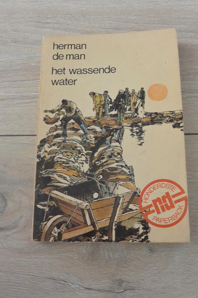 Het wassende water - Herman de Man, Boeken, Literatuur, Gelezen, Ophalen of Verzenden