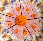 Raw, vegan en glutenvrije taarten/snacks op bestelling, Ophalen of Verzenden, Volle zon