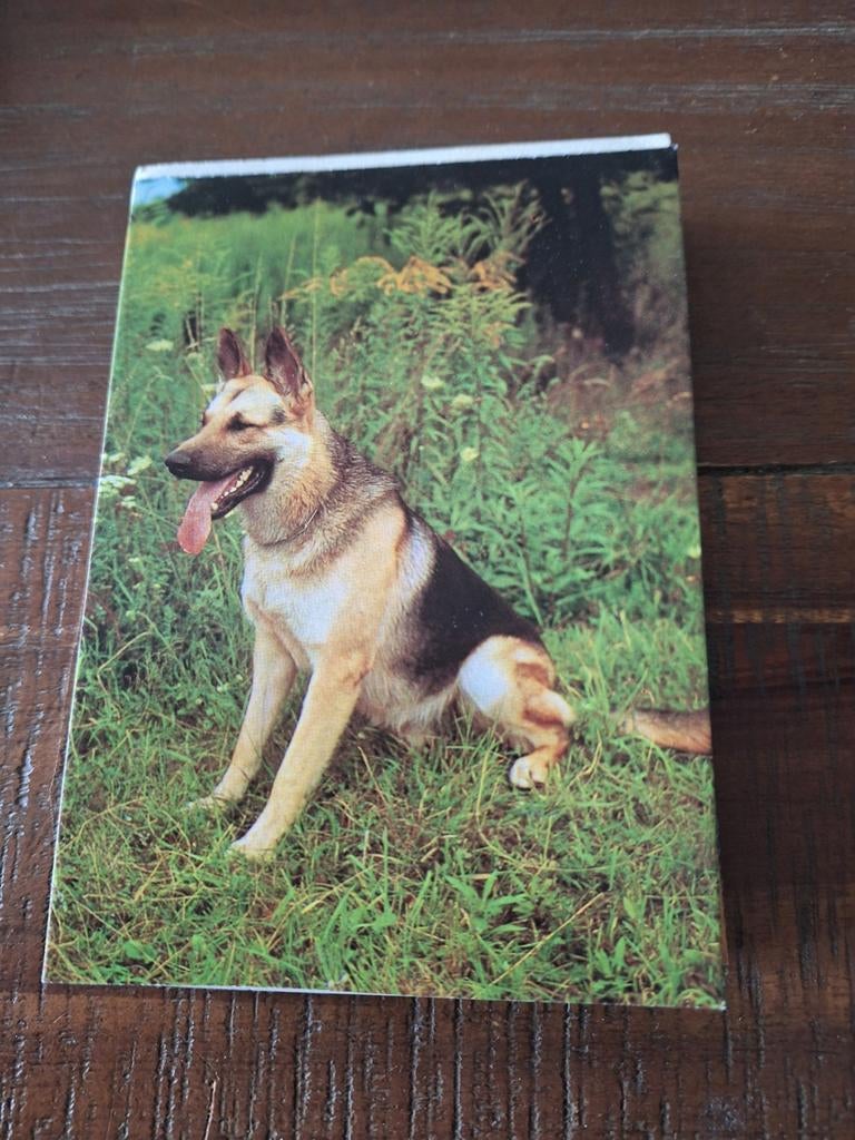 63 vintage Ansichtkaarten van Honden, Ophalen of Verzenden, Gelopen, Hond of Kat