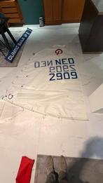 optiparts foils,gieken,spriet en 2 zeilen, Watersport en Boten, Ophalen, 6 meter of meer, Zo goed als nieuw, Binnenboordmotor