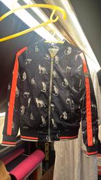 Cars zomerjasje, Kinderen en Baby's, Kinderkleding | Maat 164, Ophalen, Gebruikt, Meisje, Jas