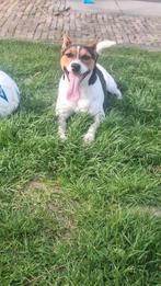 Nest planning, Eén persoon