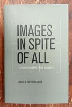 Images in Spite of All, Tweede Wereldoorlog, Georges Didi-Huberman, Ophalen of Verzenden, Zo goed als nieuw