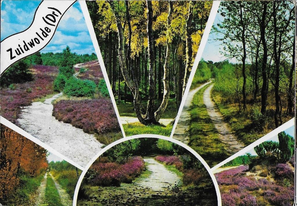 B411 Ongelopen ansichtkaart zuidwolde, Ophalen of Verzenden, 1980 tot heden, Ongelopen