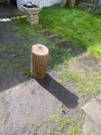 Boomstam, Tuin en Terras, Haardhout, Minder dan 3 m³, Ophalen of Verzenden