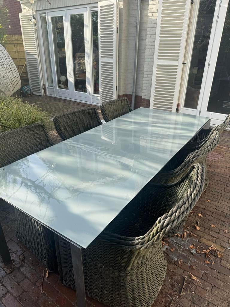 Apple bee Tuinset antraciet met 6 rieten stoelen, Tuin en Terras, Ophalen, Gebruikt, Eettafel, Rotan