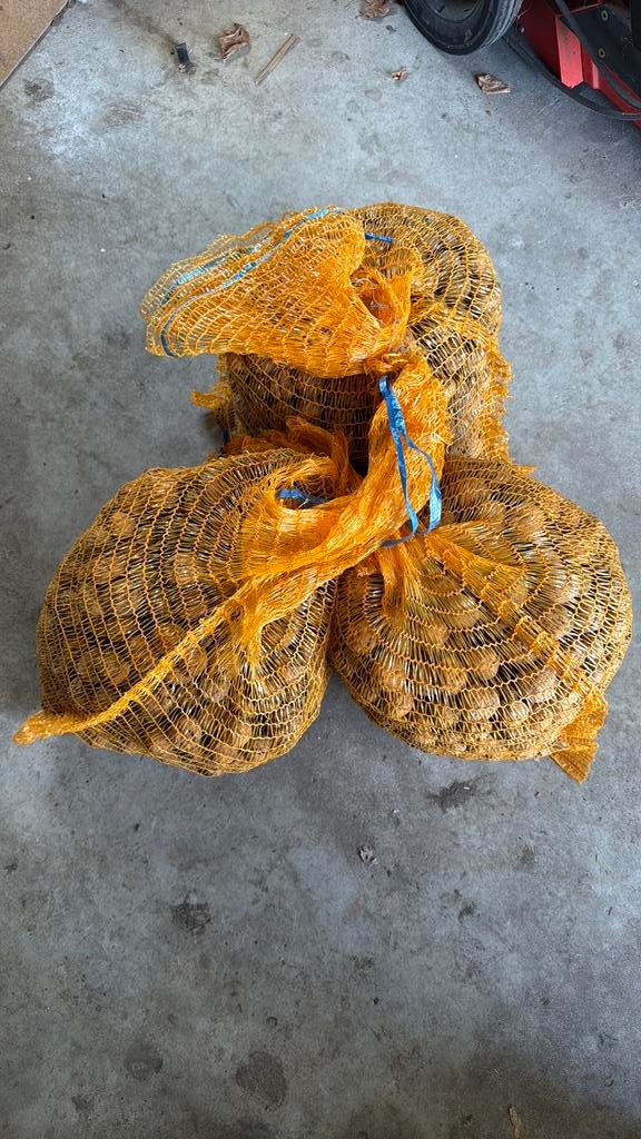 2 zakken walnoten á 5 kilo per zak, oogst 2025, Ophalen