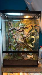 Terrarium 60/45/90, Dieren en Toebehoren, Reptielen en Amfibieën | Toebehoren, Ophalen, Zo goed als nieuw, Terrarium of Paludarium
