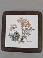 Onderzetter tegel Villeroy en Boch Botanica, Ophalen of Verzenden, Glas of Kopje