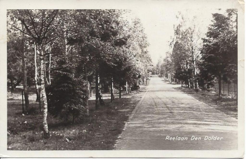Den Dolder (Utr.) Reelaan, gelopen 1947, Ophalen of Verzenden, 1940 tot 1960, Gelopen, Utrecht