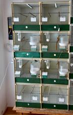 Wegens beeindiging hobby, Heesakker kooien., Ophalen of Verzenden, Zo goed als nieuw, Kunststof, Broedkooi of Kweekkooi