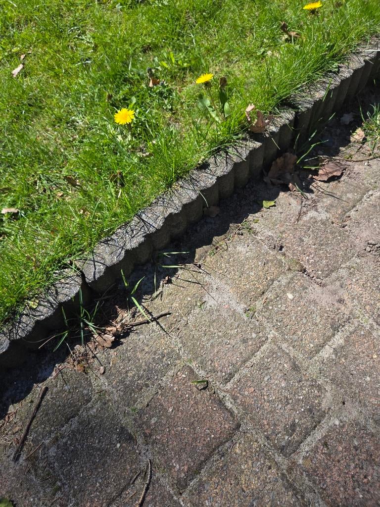 Gratis Rondoband pallisade, Tuin en Terras, Ophalen of Verzenden, Minder dan 100 cm, Biels, Minder dan 25 cm