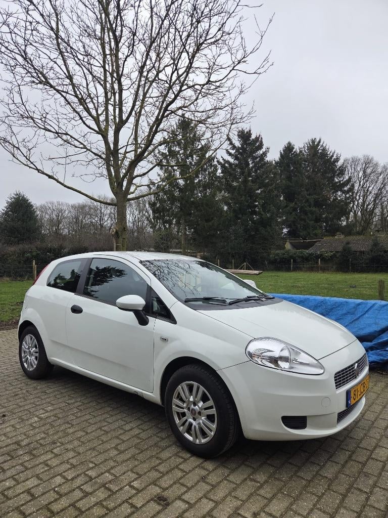 Fiat Punto 2009 NIEUWE APK | 1.2 2009, Auto's, Stof, 40 €/maand, 4 cilinders, Wit