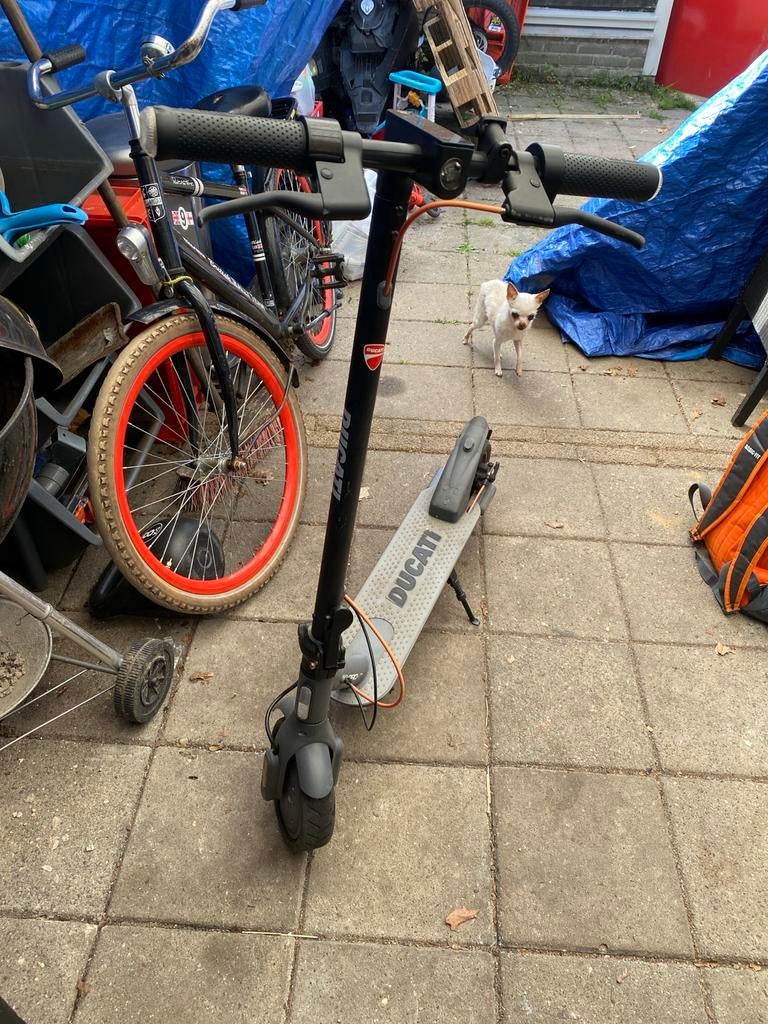Ducati elektrische step - Zo goed als nieuw, Fietsen en Brommers, Steps, Ophalen of Verzenden, Zo goed als nieuw, Elektrische step (E-scooter)