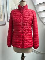 Airforce Rode Puffer Jas Dames XL, Ophalen of Verzenden, Zo goed als nieuw, Maat 46/48 (XL) of groter, Rood