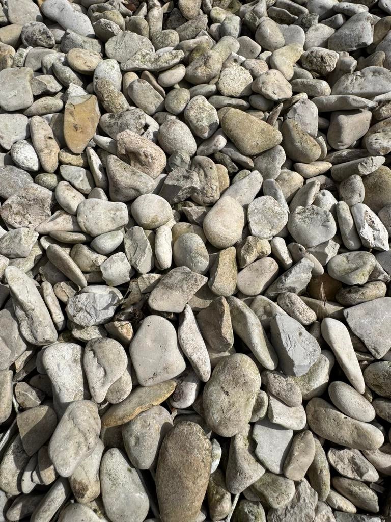 Gratis 3/4 kuub grind + grindroosters, Ophalen